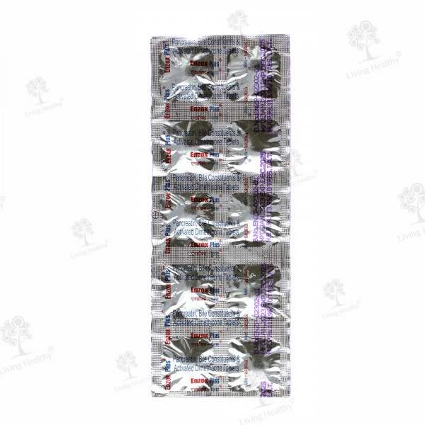 ENZOX PLUS TAB(10 TAB)