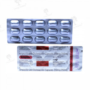 AMPILOX 500MG(15 CAP)